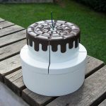 Pasta Görünümlü Süpriz Hediye Kutusu Beyaz