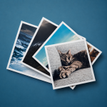 Kişiye Özel Beyaz Kenarlı Mat Kare Fotoğraf Baskısı – 5x5'ten 30x30'a Tüm Boyutlar
